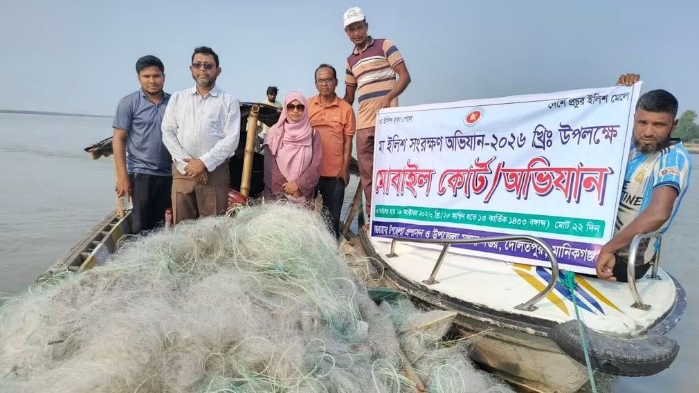 মানিকগঞ্জে অভিযানের মধ্যেও চলছে ইলিশ শিকার